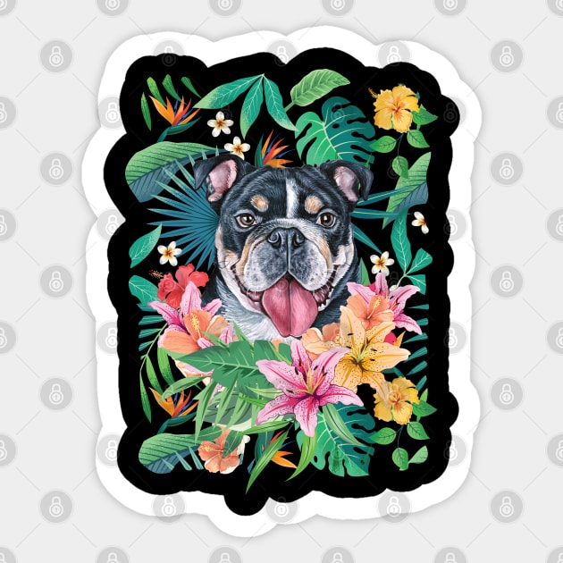 Black tri english bulldog hotsell